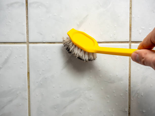 Best Commercial Mold Removal  in Baltimore, OH