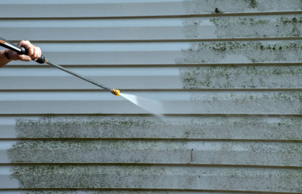 Mold Removal and Inspection in Baltimore, OH